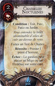 Fichier:Feux Chasseurs nocturnes.jpg