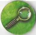 Pion Indice.jpg