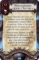 Vignette pour la version du 31 janvier 2013 à 14:25